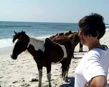 lady Watching a Wild Pony on the Beach at Assateague