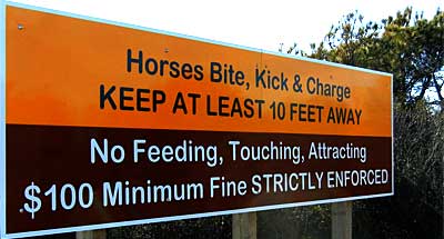 Assateague Island Horses Warning Sign