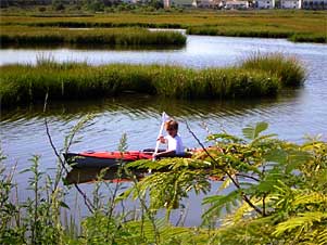 Kayak in the marsh behind Our Place at the Beach