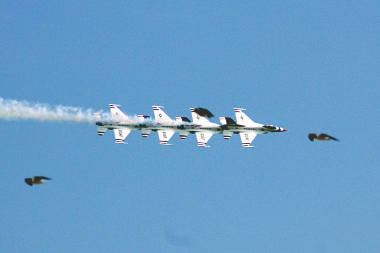 OC Air Show in Ocean City Maryland