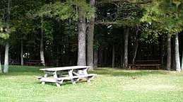 Picnic Bench at Fiesta City Park