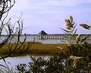 Fishing Pier at Northside Park